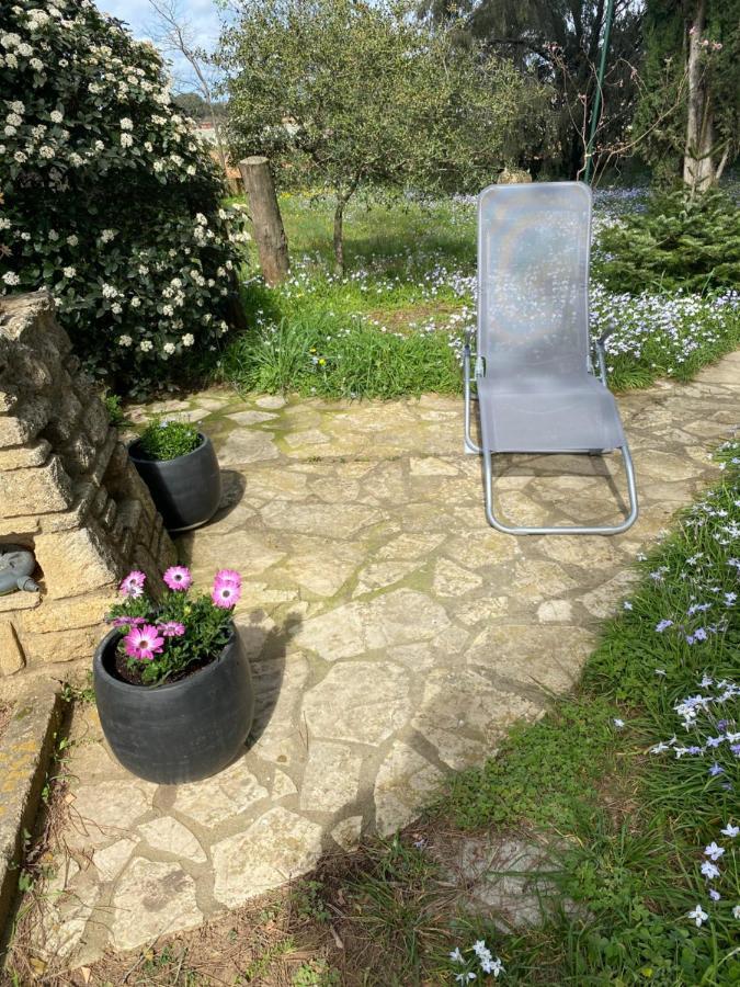 Studio Havre De Paix Au Pont Du Gard Piscine Et Jacuzzi Chez Valerie Payre Vers Pont du Gard Exterior photo